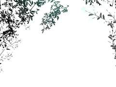 작년에 짯던 1화콘티