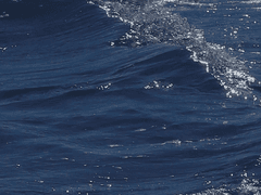 [마르코] 친애하는 나의 종말에게 (1)