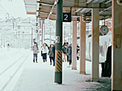 [우성명헌] 봄, 그리고 겨울