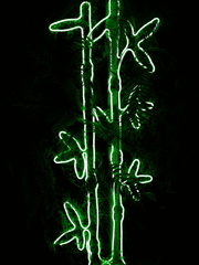 [청명당보]관념적 딸래미