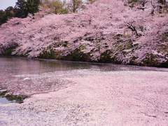 너에게 가는 길