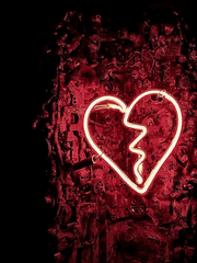 지랄과 순정 사이