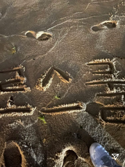 거침없이 로스쿨