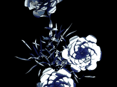 (고죠드림) 망애증후군 (忘愛症候群)