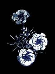 전체 관람 가능