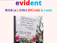 evident (evidence)