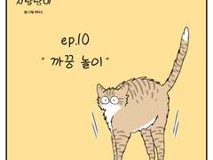 🐱우리집 지랄냥이 : 10화🐱