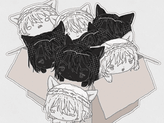 알감자박스 타입