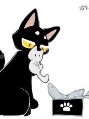 멀티버스에 떠도는 이야기들