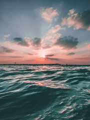 바다의 물방울 보관소