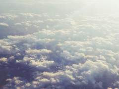 어찌보면 눈물이자