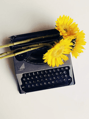 다양한 애니 드림