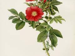 일체유심조(一切唯心造)