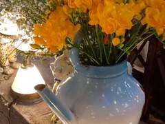 White and yellow devil.