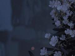 불청객의 발자국