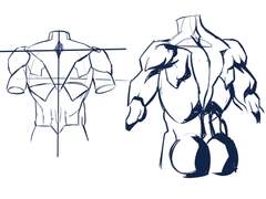 2023년 3월 25일 (토) <해부학>