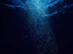 [명헌우성] Shape of water (재업)