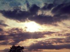 나아가서, 빛 속으로!