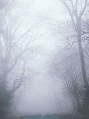 흐린 시련 (매카 팬소설)