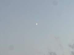 낭만에게 보내는 편지