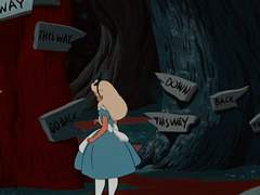 𝐫𝐚𝐛𝐛𝐢𝐭 𝐡𝐨𝐥𝐞