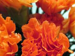 위험한 연애를 시작해 버렸어요...! 03