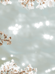 벚꽃은 피었는데