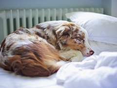 [채꿍]띠동갑+2 8