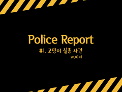 [DX3rd] 고양이 실종 사건