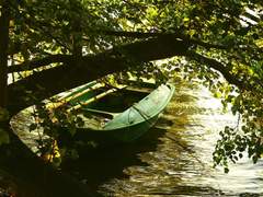 [청우배세] 바다와 호수