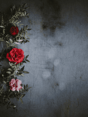 지우서준 파트..