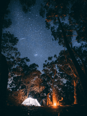 망겜 NPC도 모험가 님의 동료가 될 수 있나요?