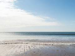 [호열백호] 눈치 없이 사랑하면 (4)