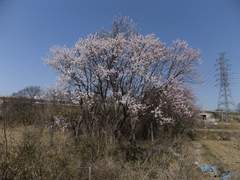 2023 삽교호 / 성거산 성지