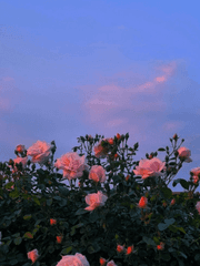 좋은 건 공유해야죠