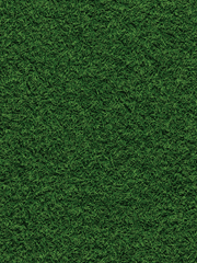 찌질의 청춘 完