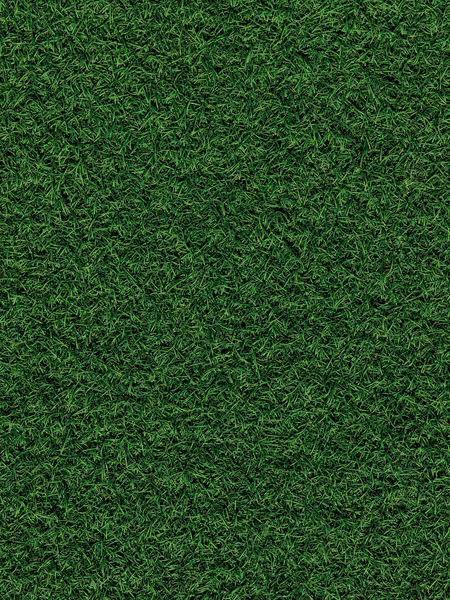 찌질의 청춘 17 (完)