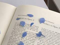 너를 이루는 푸른 하늘과 황금빛 등불