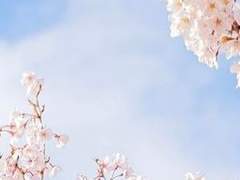 이자요이 네코쇼*XX*요리부