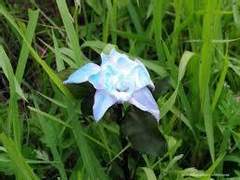 널 위해서라면 난 아파도 강한척 할수가 있었어