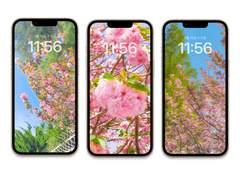 [배경화면]spring_set01