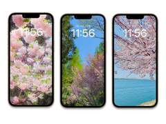 [무료배경화면]spring_set02