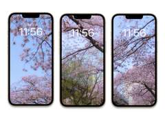 [무료배경화면]spring_set03