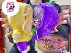 티푿님 대행 커미션 후기(를 빙자한 잡다한 솜인형 개인 기록 제작기)