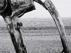 [미오/팁썬] 써니보이가 죽었다