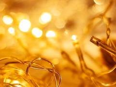 노에 ? ? 신 연구원