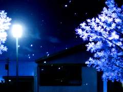 {도리벤 범천 드림} 범천에 경리 쪽으로 들어간 신입사원 드림주 S_3