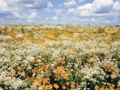 [조로산] Beginning of : crush on you