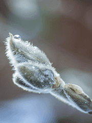 [원피스]-장편모음