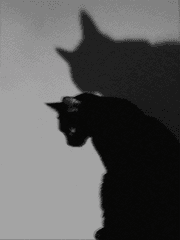 악당은 악당으로 몰아낸다